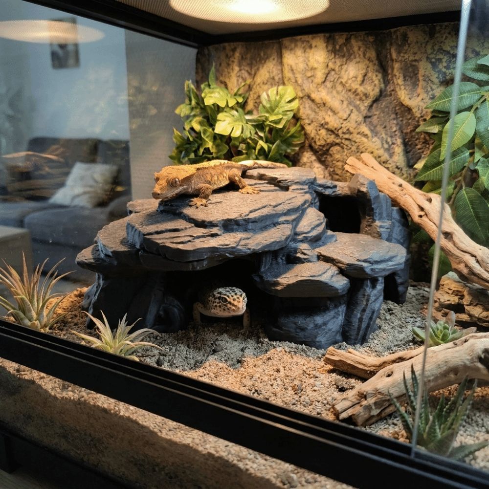 3D Printing Fish Tank Rockery  - огляд і ціна Aquarium Plants Live