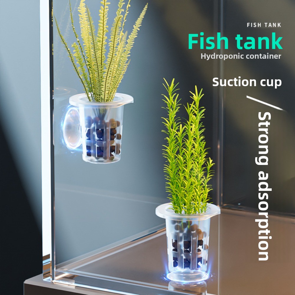10Pcs Transparent Plant Hydrop - огляд і ціна Aquarium Plants Live
