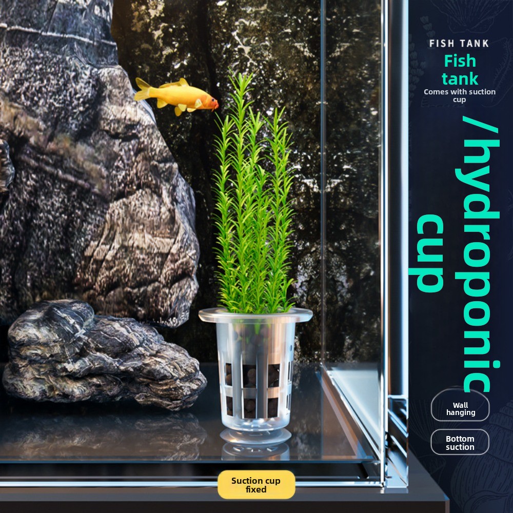 10Pcs Transparent Plant Hydrop - огляд і ціна Aquarium Plants Live