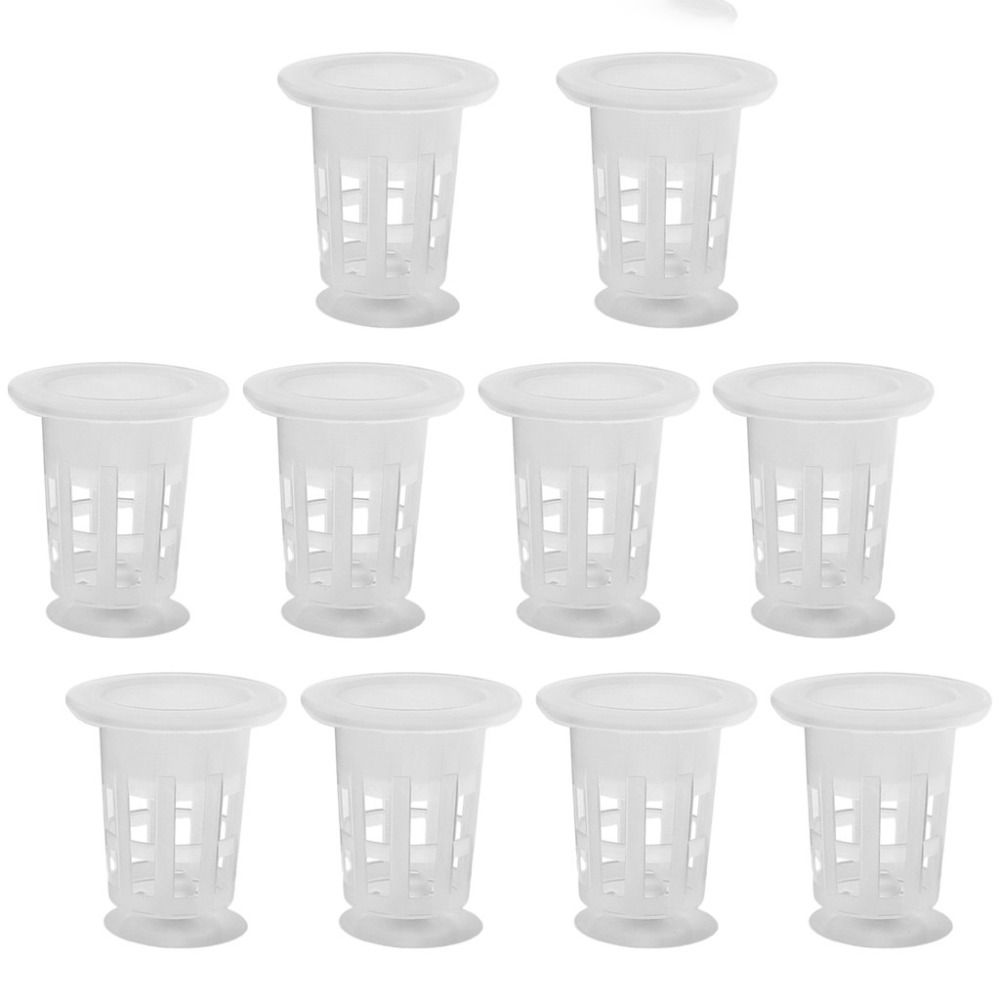 10Pcs Transparent Plant Hydrop - огляд і ціна Aquarium Plants Live