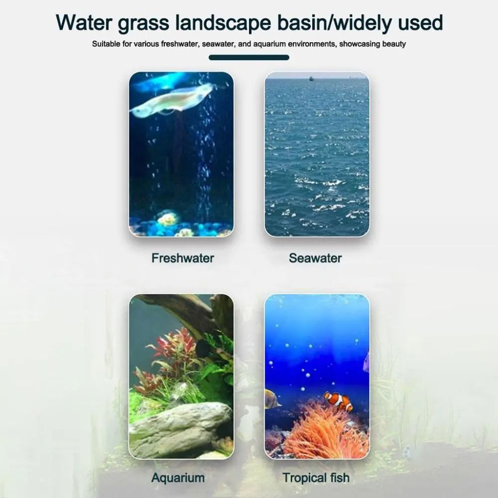 10Pcs Transparent Plant Hydrop - огляд і ціна Aquarium Plants Live