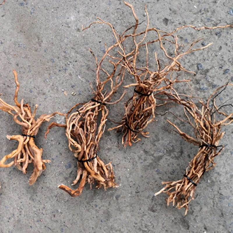 Natural Driftwood Root Trunk T - огляд і ціна Aquarium Driftwood
