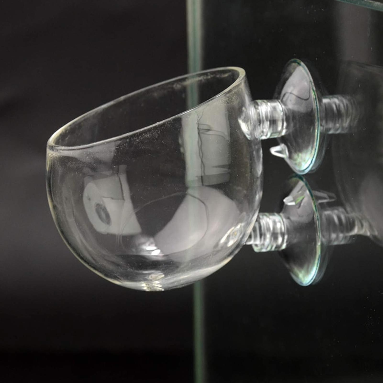 Aquarium Plant Holder Glass Aq - огляд і ціна Aquarium Plants Live