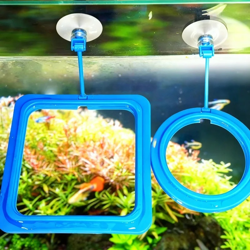 Aquarium Feeding Ring Fish Tan - огляд і ціна Aquarium Fertilizer