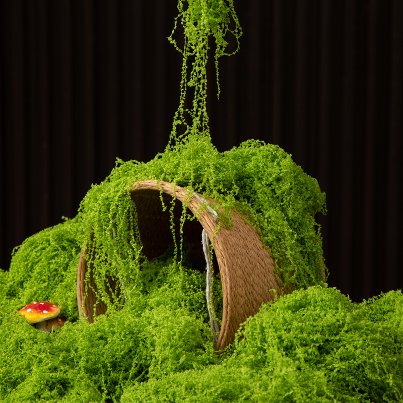 200g Eternal Life Moss DIY Cra - огляд і ціна Aquarium Moss