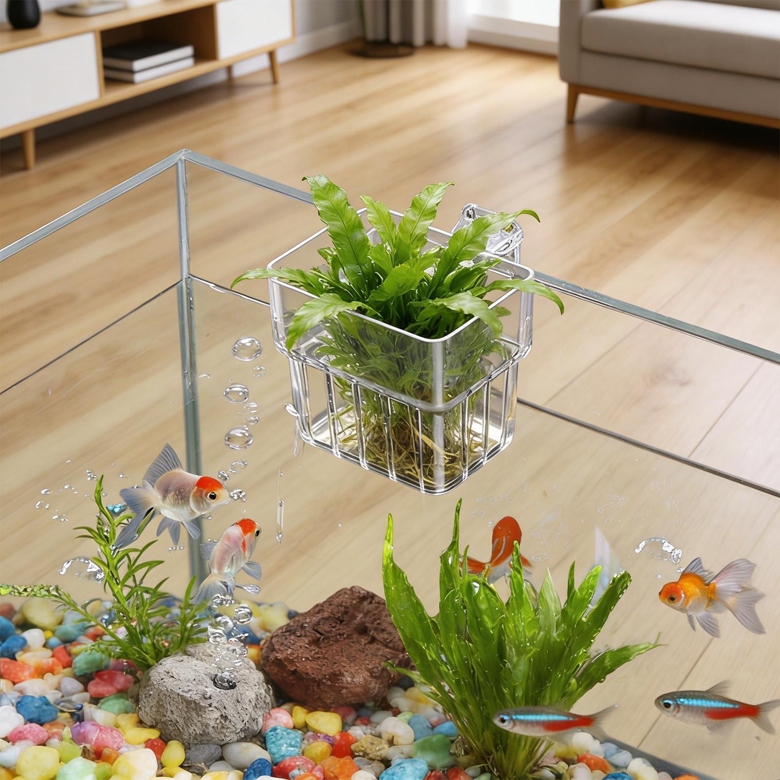 Fish Tank Fixed Basket Wall mo - огляд і ціна Aquarium Plants Live