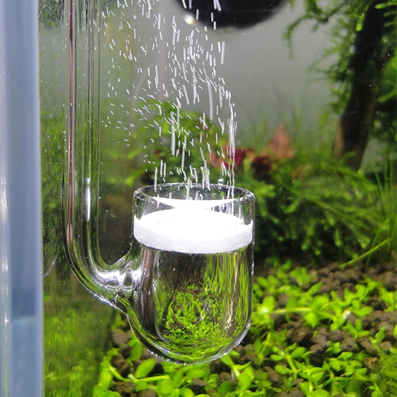 Glass CO2 Diffuser Transparent - огляд і ціна Aquarium Liquid Carbon