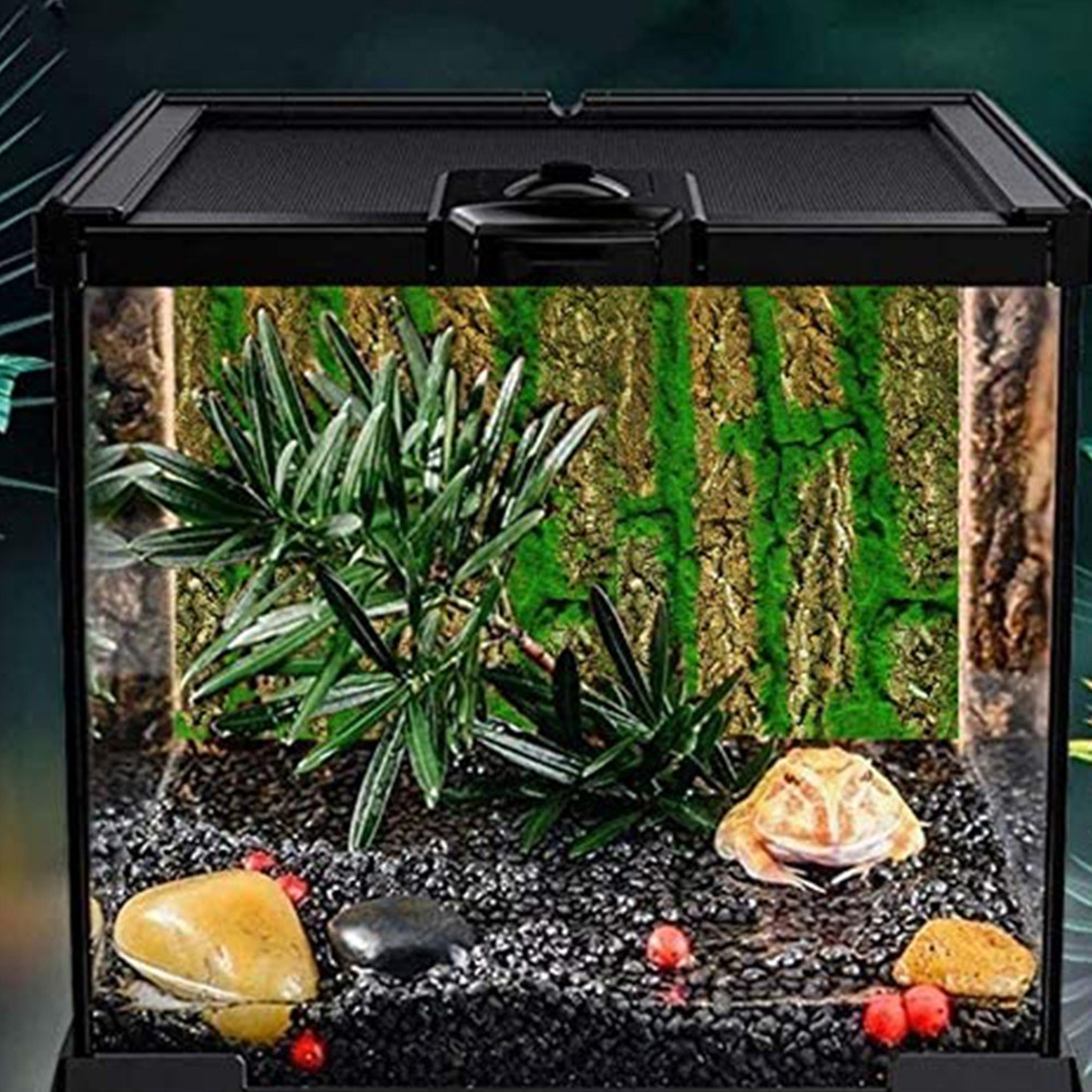 3D Aquarium Background Board S - огляд і ціна Aquarium Moss