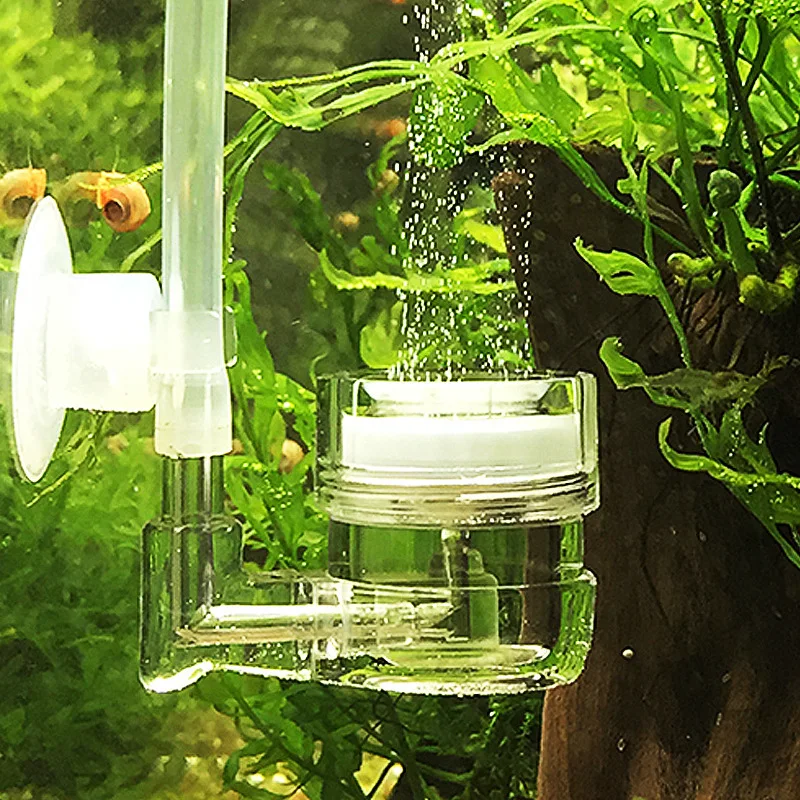 Aquarium 4 in 1 CO2 Diffuser G - огляд і ціна Live Plant Aquarium