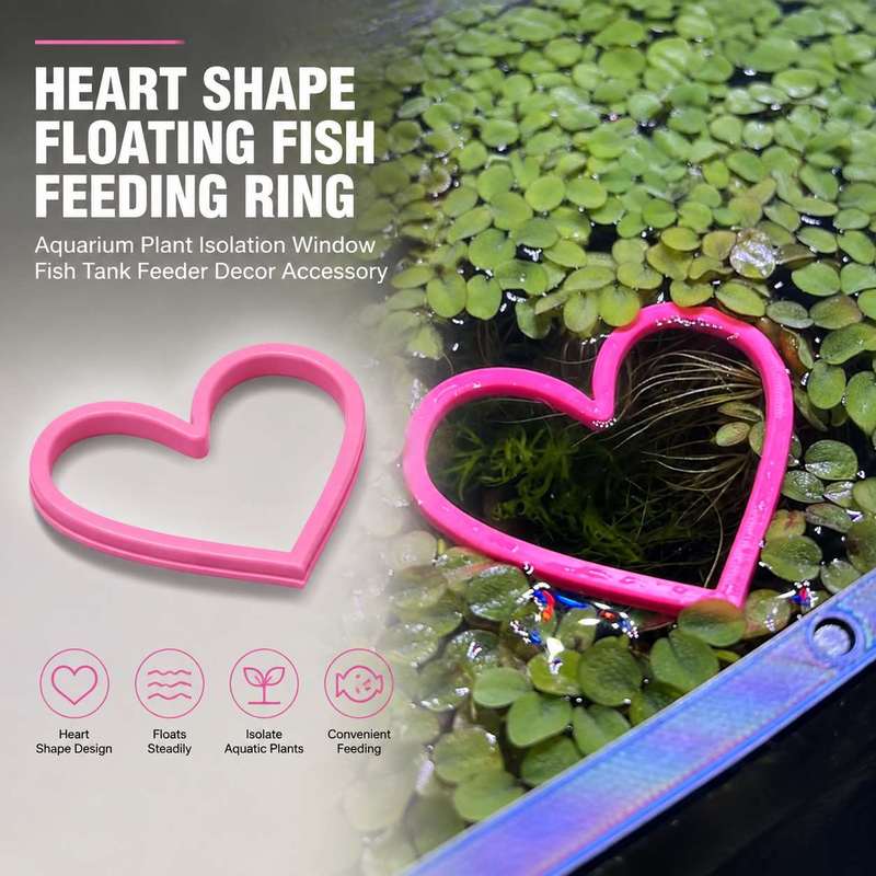 Heart Shaped Floating Fish Fee - огляд і ціна Aquarium Fertilizer