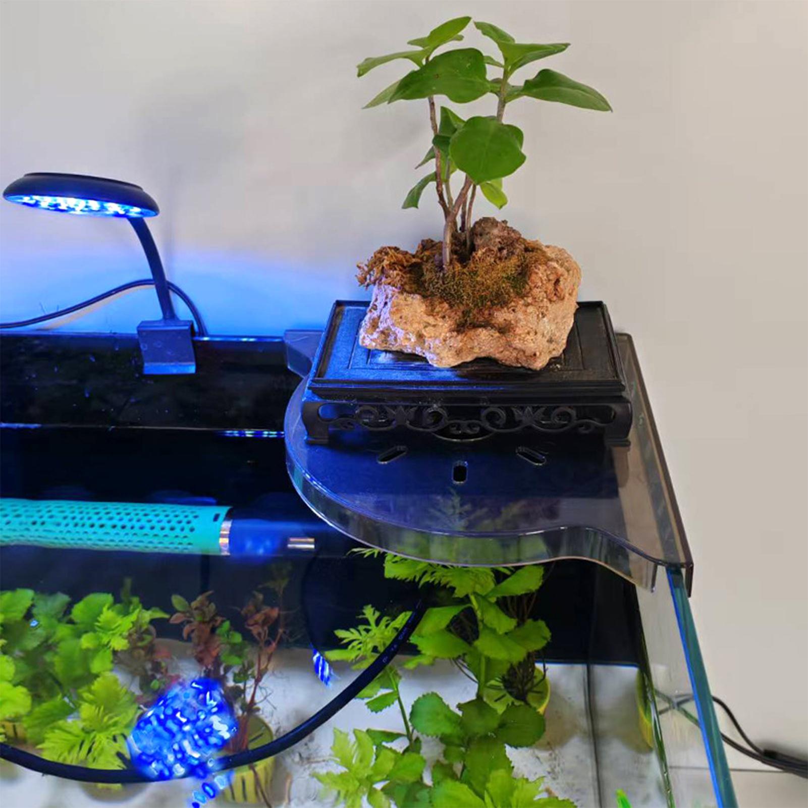 Triangle Fish Tank Corner Stor - огляд і ціна Aquarium Plants Live