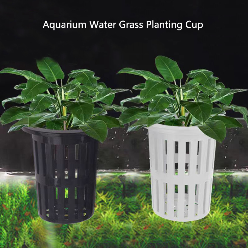 1/3Pcs Aquarium Plant Basket W - огляд і ціна Aquarium Plants Live