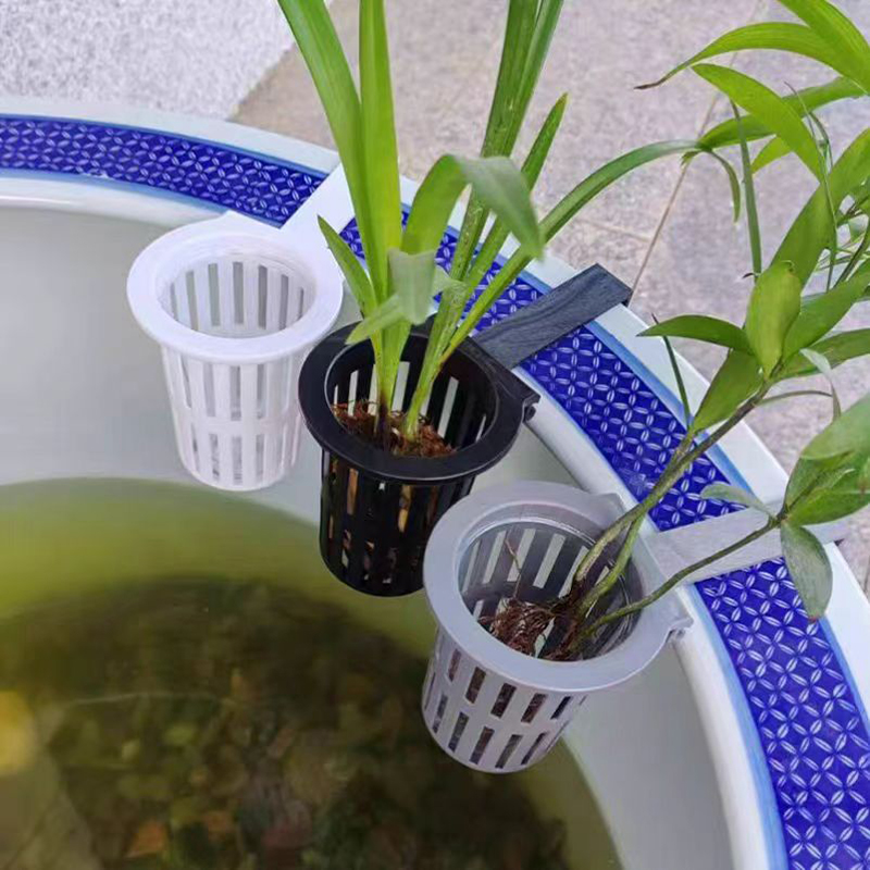 1/3Pcs Aquarium Plant Basket W - огляд і ціна Aquarium Plants Live