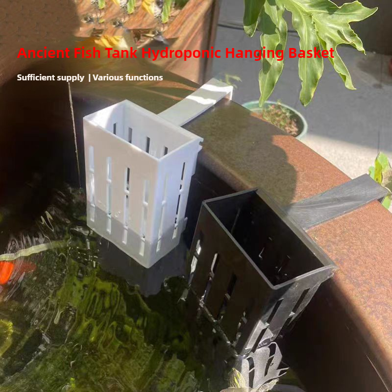 1/3Pcs Aquarium Plant Basket W - огляд і ціна Aquarium Plants Live