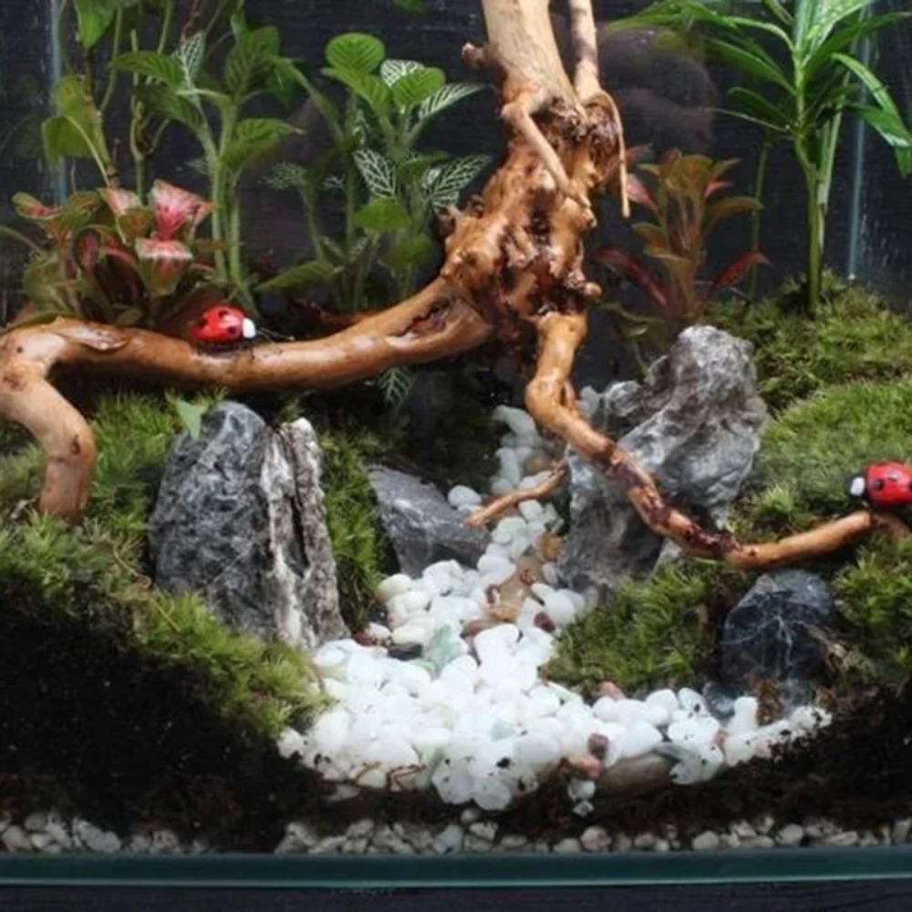Natural Driftwood Aquarium Dec - огляд і ціна Aquarium Plant Substrate