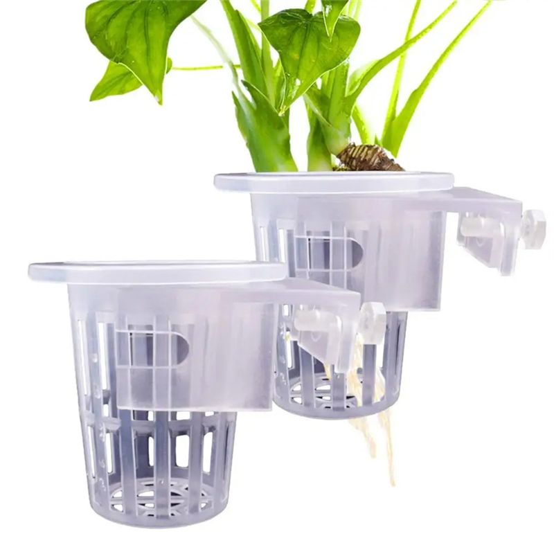 A7THK-2Pcs Transparent Hanging - огляд і ціна Aquarium Plant Holder