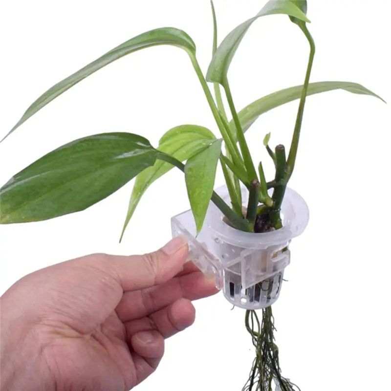 A7THK-2Pcs Transparent Hanging - огляд і ціна Aquarium Plant Holder