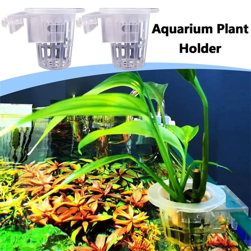 A7THK-2Pcs Transparent Hanging - огляд і ціна Aquarium Plant Holder