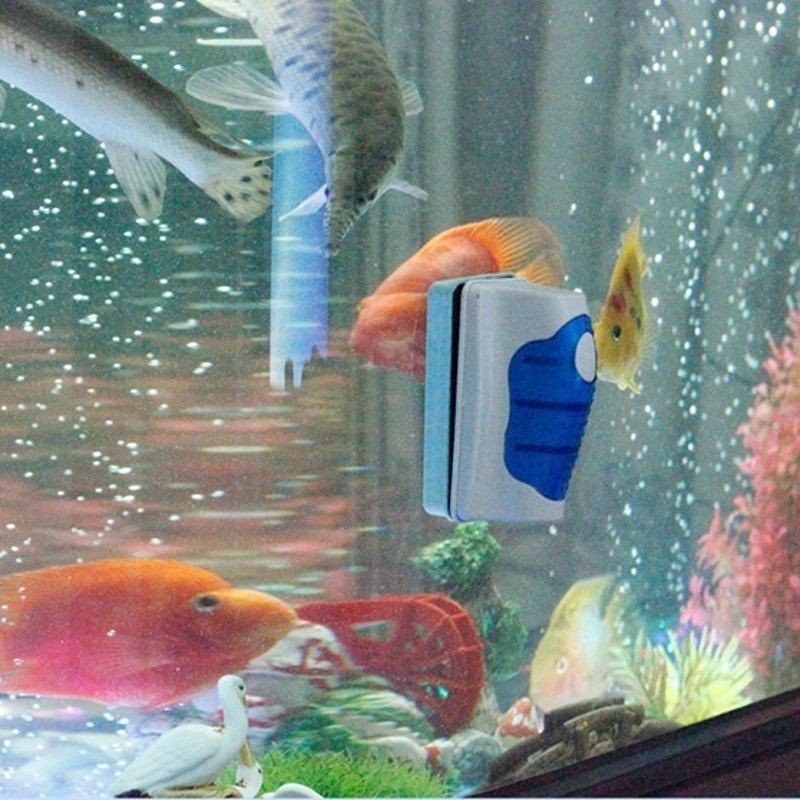 Fish Tank Glass Scraper Cleane - огляд і ціна Planted Aquarium Cleaning