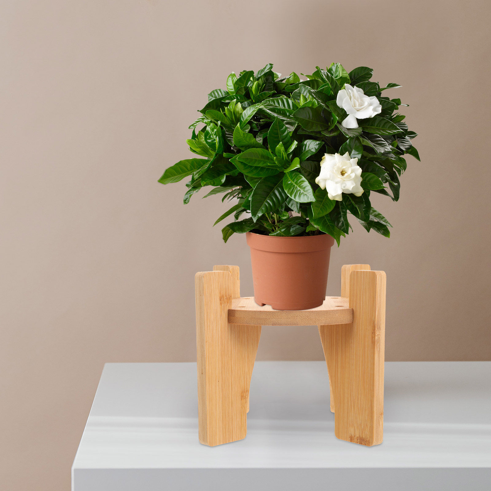 Wooden Drink Dispenser Stand R - огляд і ціна Planted Tank